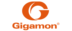 Gigamon